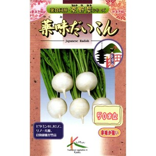 野菜の種 【大根】薬味だいこん①(野菜)