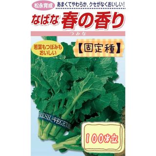 野菜の種 【なばな】春の香り①(野菜)