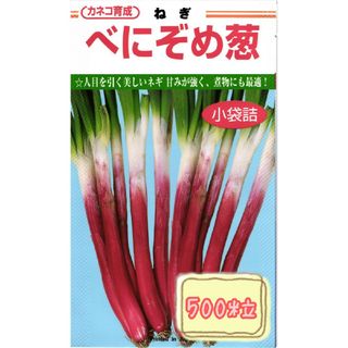 野菜の種 【ネギ】べにぞめネギ①(野菜)