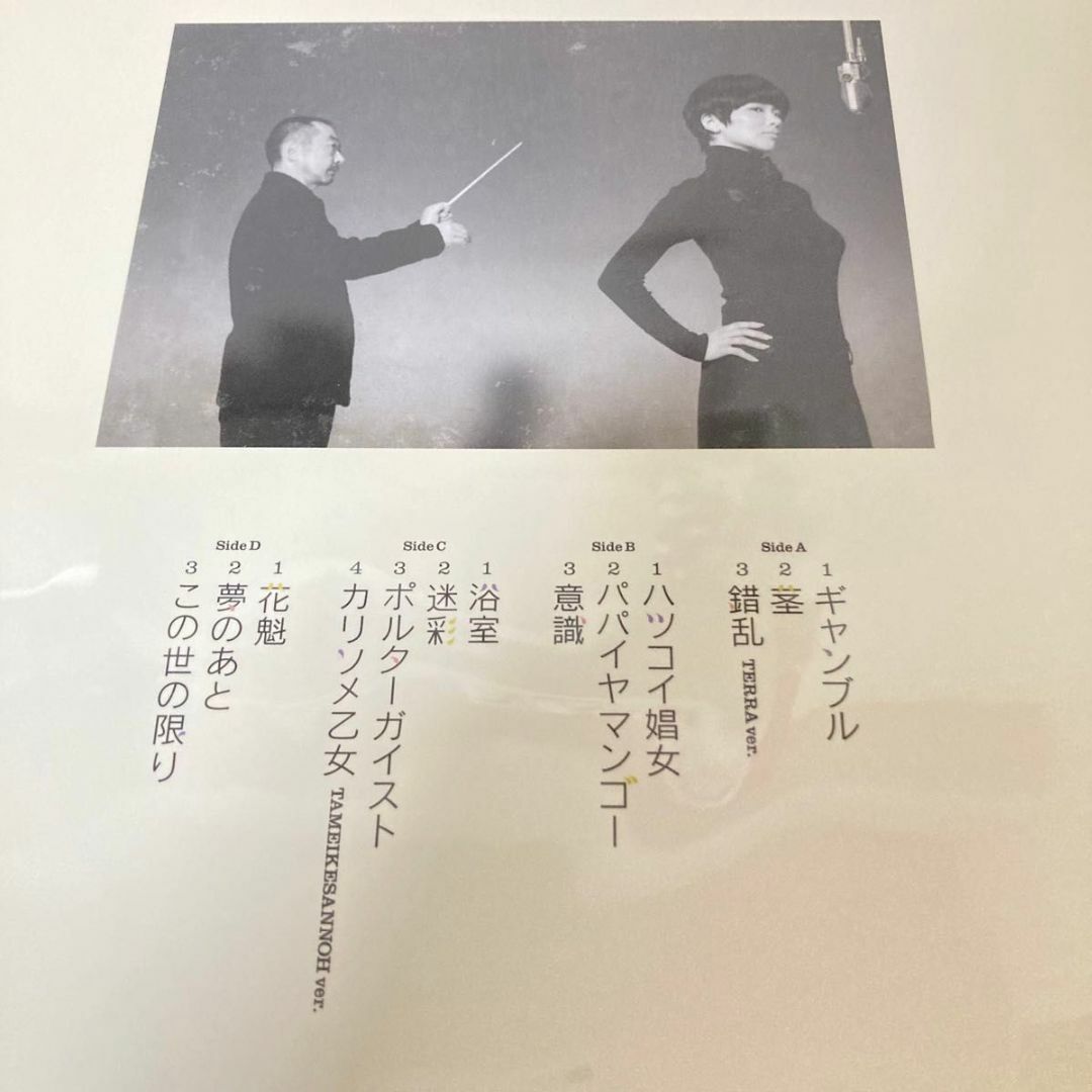 【新品】 椎名林檎 平成風俗 レコード LP 初回生産限定盤 アナログ盤 2枚組 エンタメ/ホビーのCD(ポップス/ロック(邦楽))の商品写真