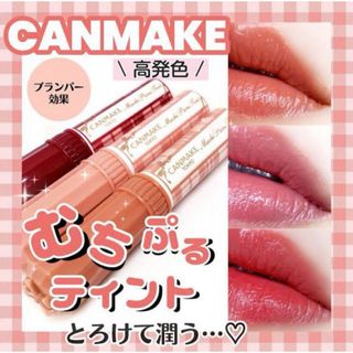 キャンメイク(CANMAKE)のキャンメイク　もちぷるティント02(口紅)