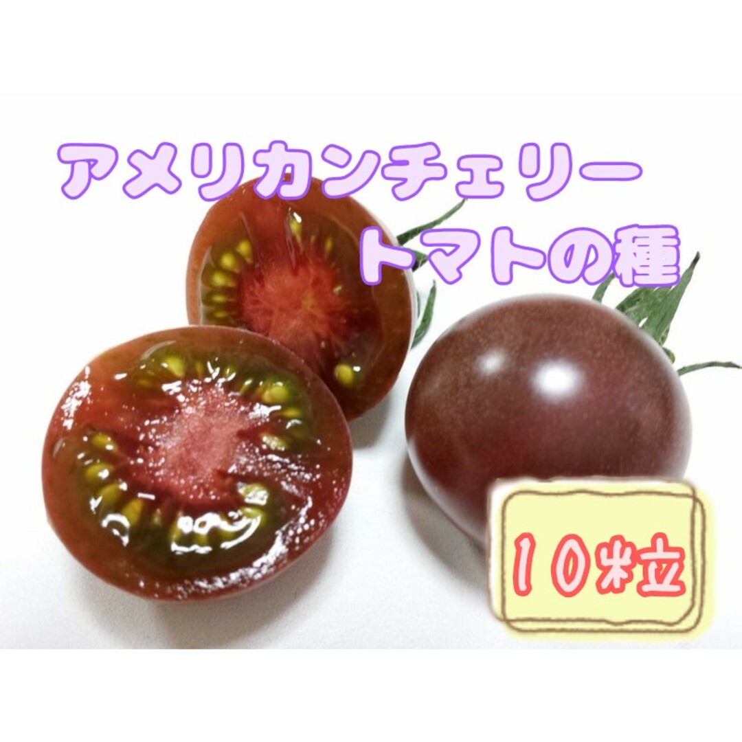 野菜の種 【ミニトマト】アメリカンチェリートマト① 食品/飲料/酒の食品(野菜)の商品写真