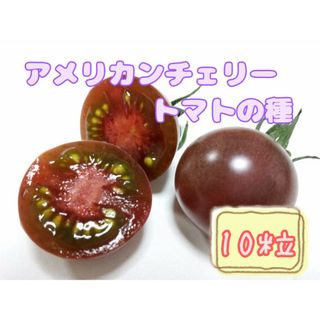 野菜の種 【ミニトマト】アメリカンチェリートマト①(野菜)