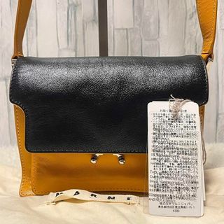 マルニ(Marni)の✨極美品✨ マルニ ミニショルダーバッグ トランク ソフト レザー バイカラー(ショルダーバッグ)