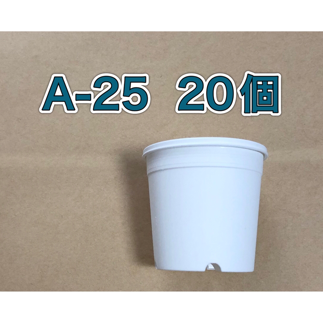 《A-25》白 20個 2.5号 丸型 スリット鉢 プラ鉢 多肉植物 ハンドメイドのフラワー/ガーデン(プランター)の商品写真