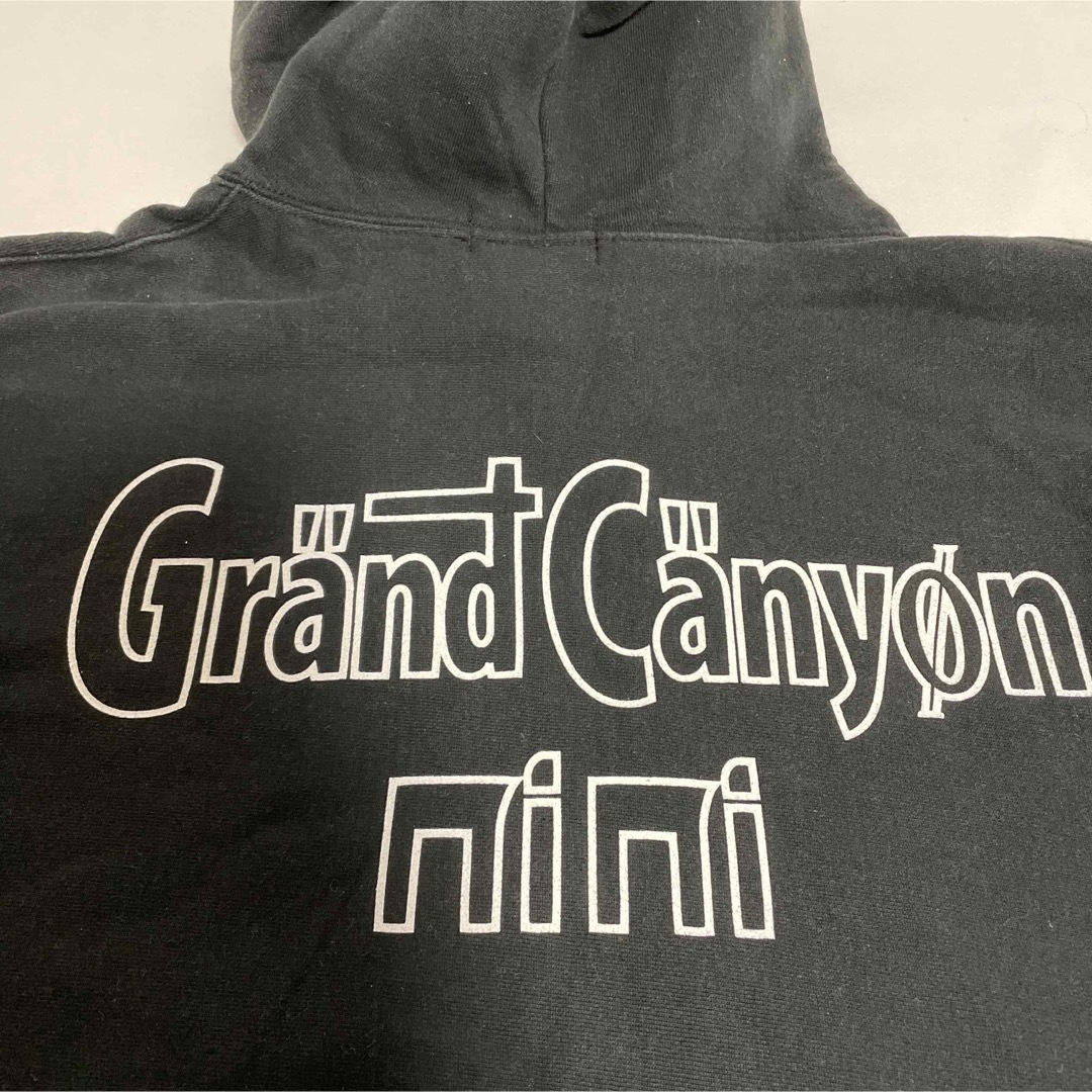 Lee(リー)の90s『Lee』リー『grandcanyon』スウェットパーカー　クロスグレイン メンズのトップス(パーカー)の商品写真