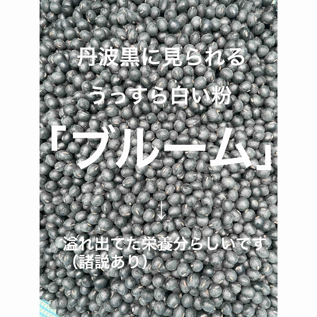 大和高原　丹波黒　訳あり　おいしい野菜　お正月