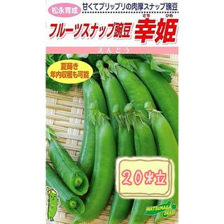 野菜の種 【スナップエンドウ】幸姫①(野菜)