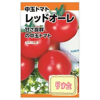 野菜の種 【中玉トマト】レッドオーレ①(野菜)