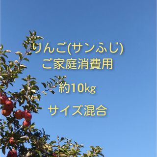 りんご(サンふじ)訳ありご家庭消費用 約10kg(フルーツ)