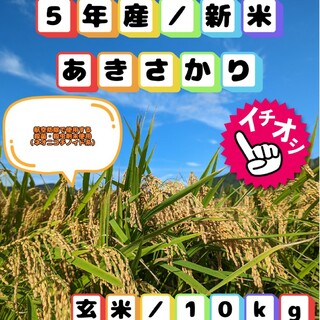 ✾⑤年産新米✾特別栽培米✾福井県産あきさかり✾玄米10㌔✾精米無料サービス✾(米/穀物)