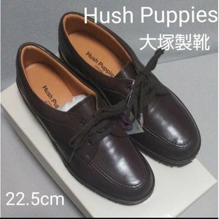 Hush Puppies - 新品19800円☆Hush Puppiesハッシュパピー レザースニーカー 茶色