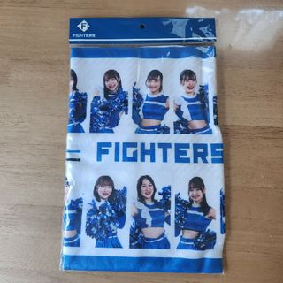 ホッカイドウニホンハムファイターズ(北海道日本ハムファイターズ)のFIGHTERSGIRL　集合タオル2023(キャラクターグッズ)