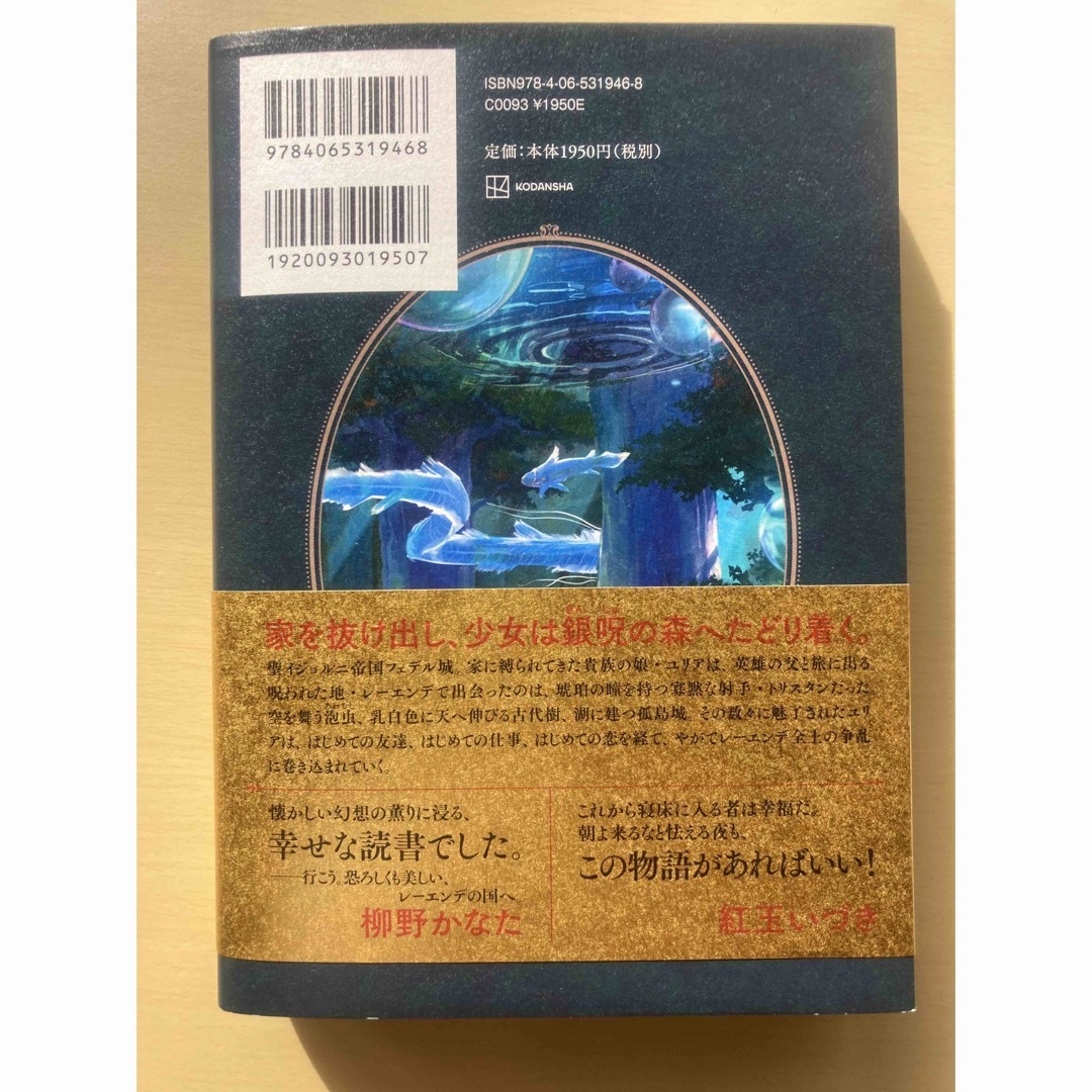 レーエンデ国物語 エンタメ/ホビーの本(その他)の商品写真