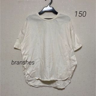 ブランシェス(Branshes)のbranshes 150 ラウンドスリット  Tシャツ(Tシャツ/カットソー)