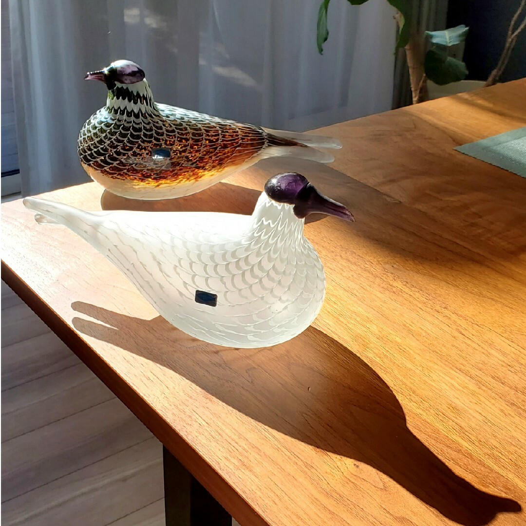 iittala(イッタラ)のiittala bird イッタラバード Species of Tern インテリア/住まい/日用品のインテリア小物(置物)の商品写真