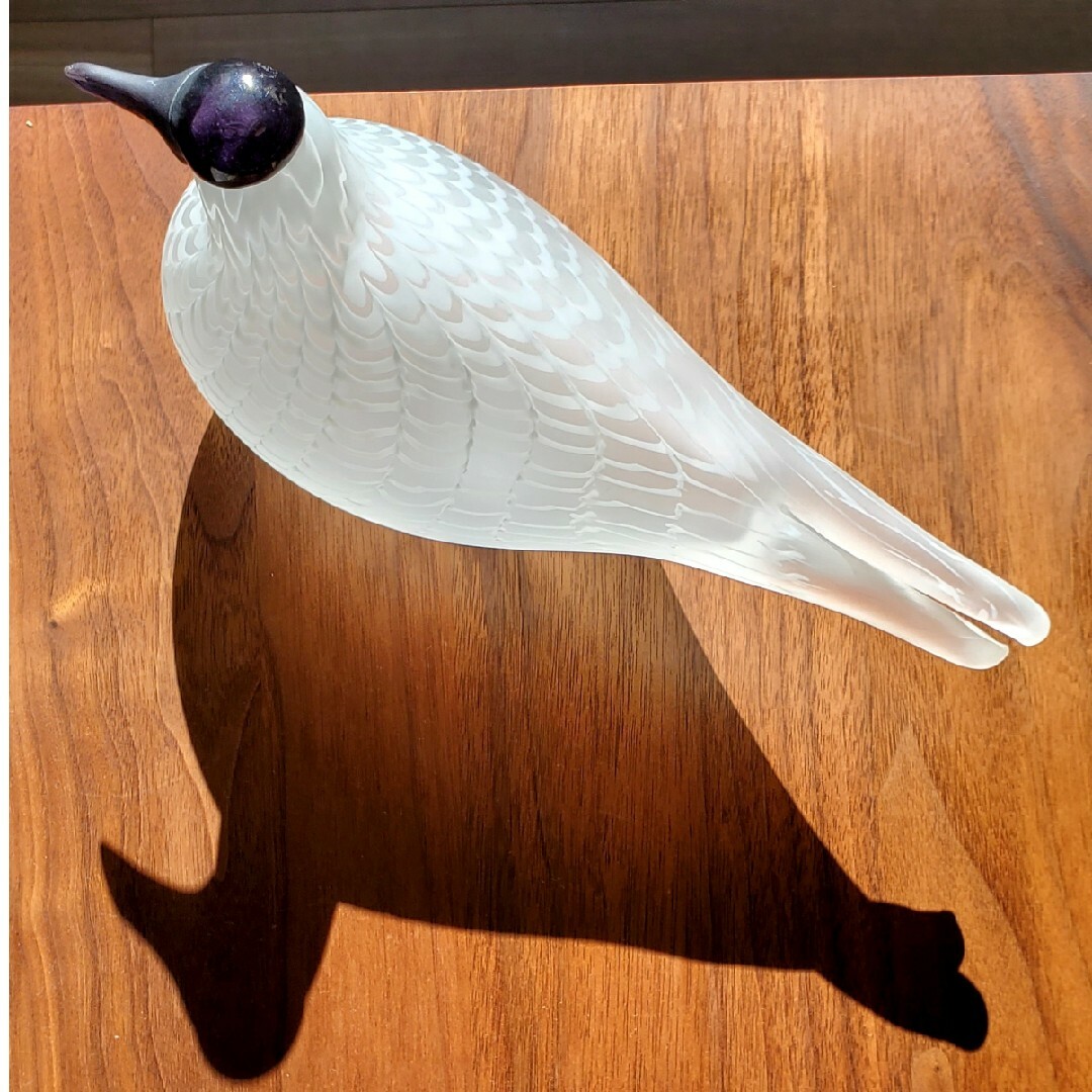 iittala(イッタラ)のiittala bird イッタラバード Species of Tern インテリア/住まい/日用品のインテリア小物(置物)の商品写真