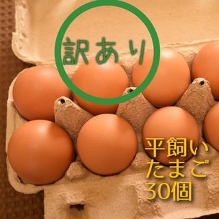 訳あり　平飼い卵10個入り3パック 国産もみじの卵　新鮮　産みたて(野菜)