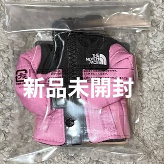 ザノースフェイス(THE NORTH FACE)のミニヌプシジャケット オーキッドピンク （キーホルダー）未開封品(キーホルダー)