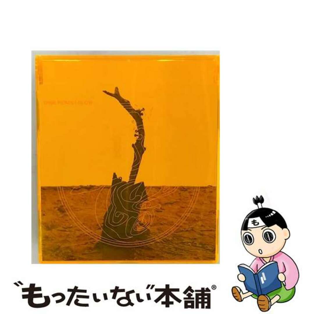 【中古】 GLOW/CDシングル(12cm)/PCCM-00018 エンタメ/ホビーのCD(その他)の商品写真