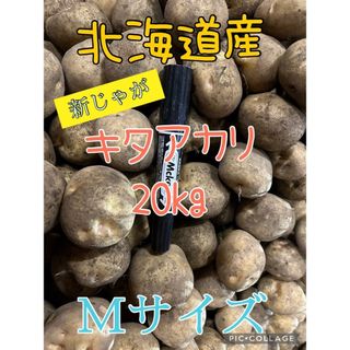 北海道産じゃがいもキタアカリ20kg(野菜)