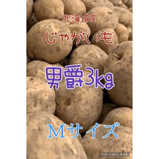 北海道産じゃがいも男爵3kg(野菜)