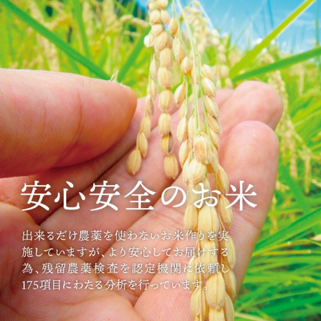 令和5年産新米✨一等米　希少コシヒカリ！はちたか米✨ 5kg 食品/飲料/酒の食品(米/穀物)の商品写真