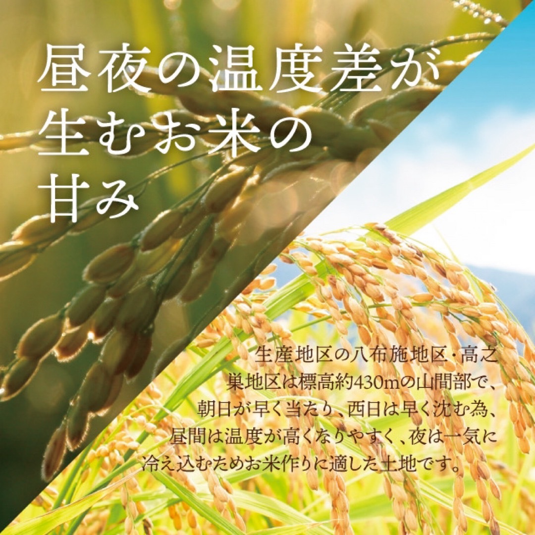 令和5年産新米✨一等米　希少コシヒカリ！はちたか米✨ 5kg 食品/飲料/酒の食品(米/穀物)の商品写真