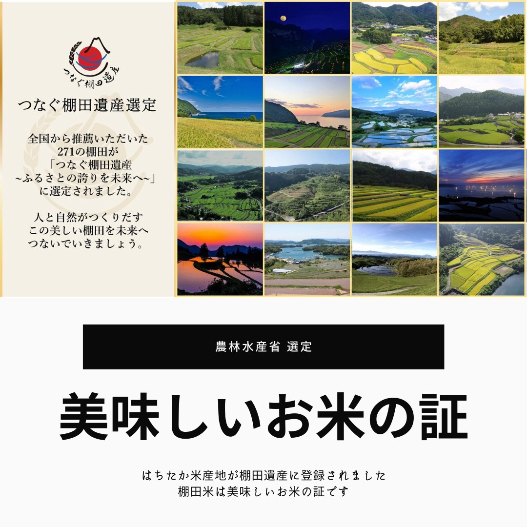 令和5年産新米✨一等米　希少コシヒカリ！はちたか米✨ 5kg 食品/飲料/酒の食品(米/穀物)の商品写真