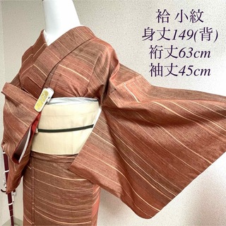 袷 正絹 小紋 紬 横段 裄63cm 和服 呉服 和装 きもの kimono(着物)