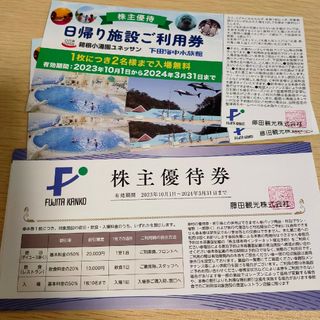 藤田観光 優待 ユネッサン2枚(遊園地/テーマパーク)