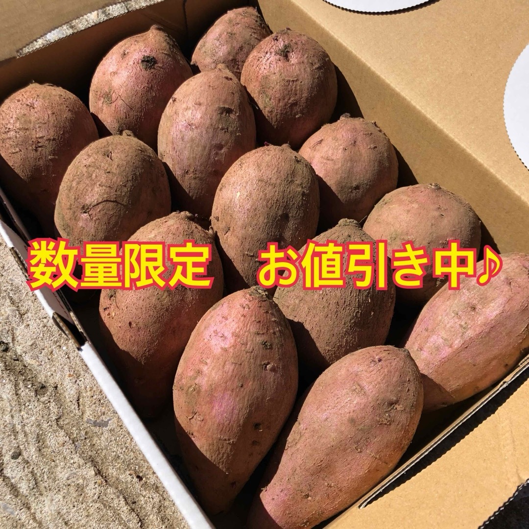 種子島　農家直送！安納地区の安納芋　まーるいお芋 食品/飲料/酒の食品(野菜)の商品写真