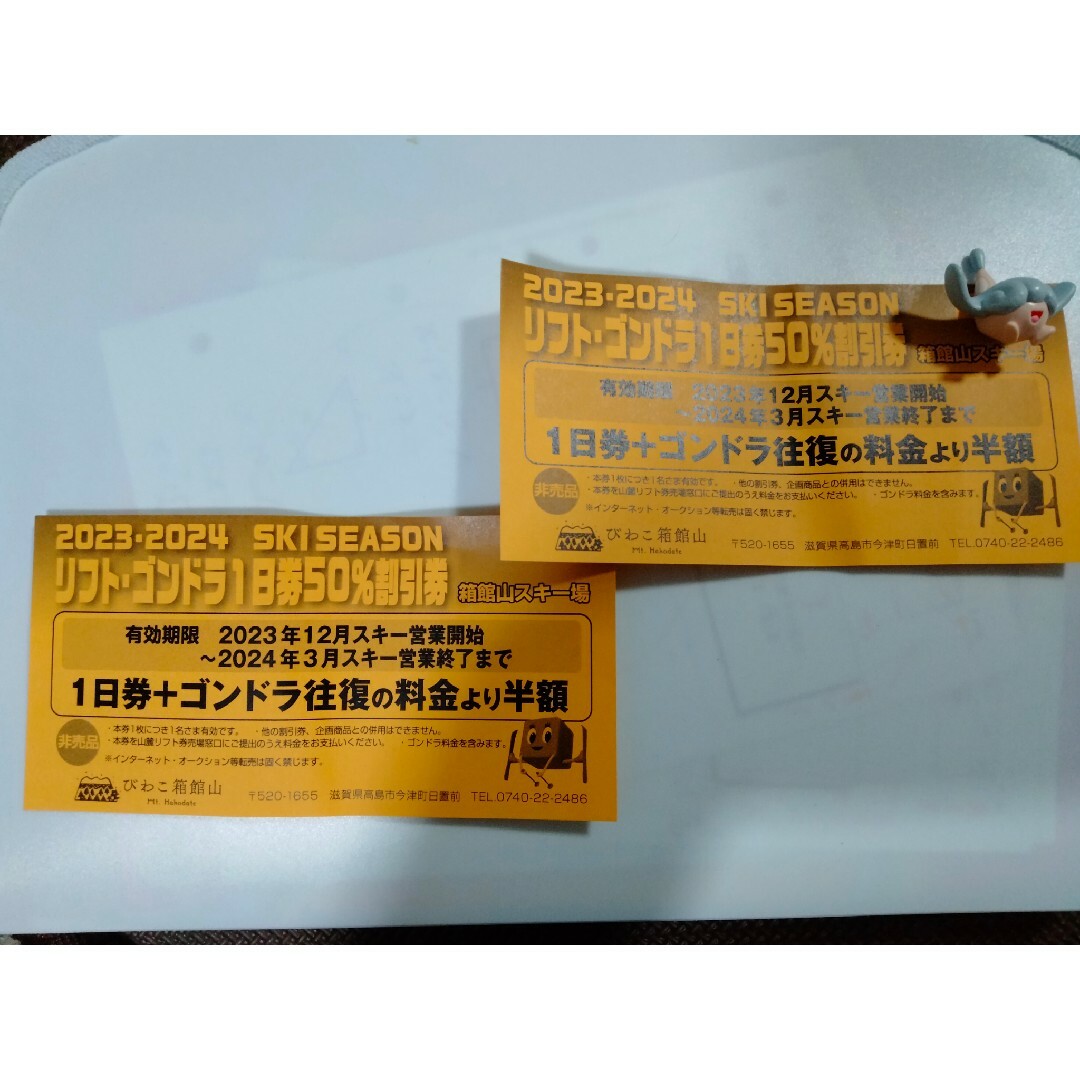 箱館山スキー場　リフトゴンドラ1日券2枚セット施設利用券