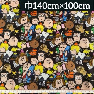 【keiko様専用】PS-77★( ・ ´｀(●)PEANUTS  タフタ生地(生地/糸)