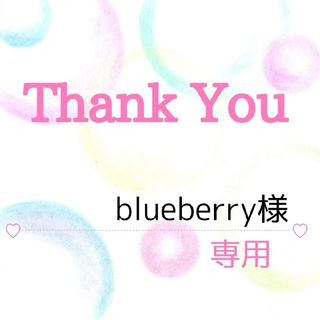 blueberry様専用(その他)