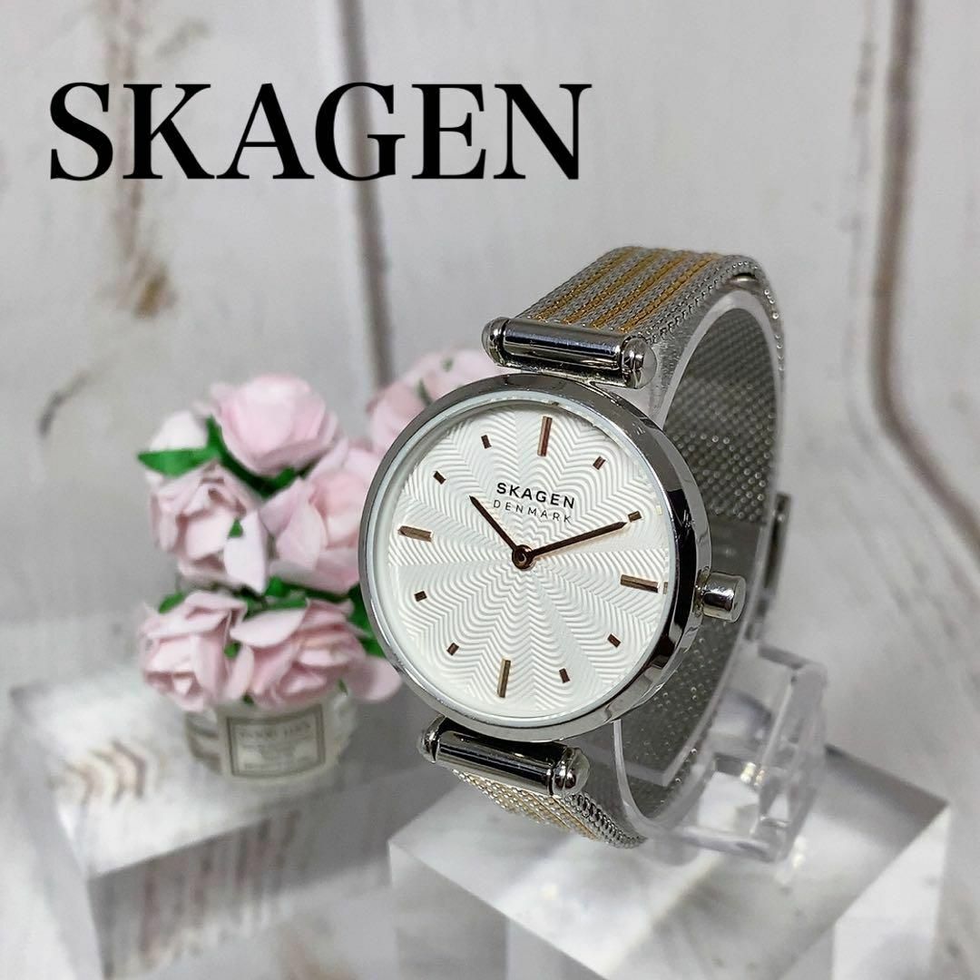 SKAGEN - レディースウォッチ北欧デンマークスカーゲンSKAGENブランド