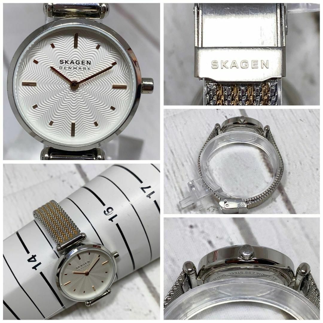 SKAGEN(スカーゲン)のレディースウォッチ北欧デンマークスカーゲンSKAGENブランド女性用2269 レディースのファッション小物(腕時計)の商品写真