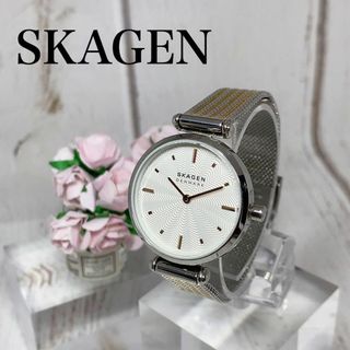 スカーゲン(SKAGEN)のレディースウォッチ北欧デンマークスカーゲンSKAGENブランド女性用2269(腕時計)