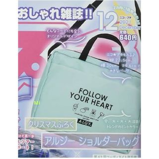 アルジー(ALGY)の181 ニコプチ 12月号 付録　バッグ　ポシェット　ウエストポーチ(ポシェット)