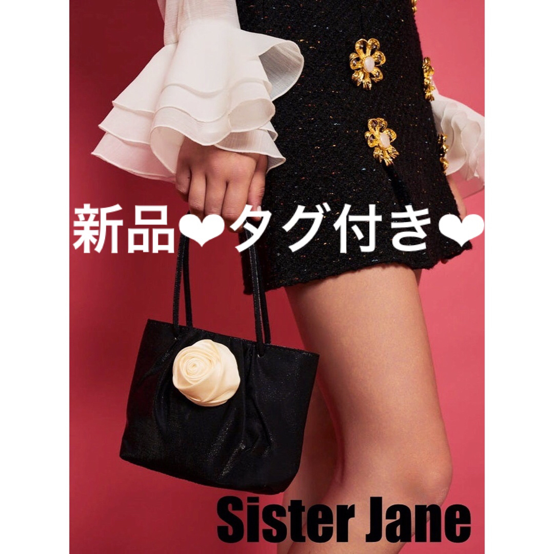 EDIT.FOR LULU(エディットフォールル)のCharlesChaton DREAM Sister Jane rose bag レディースのバッグ(ハンドバッグ)の商品写真