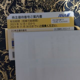 エーエヌエー(ゼンニッポンクウユ)(ANA(全日本空輸))のANA 株主優待券(その他)