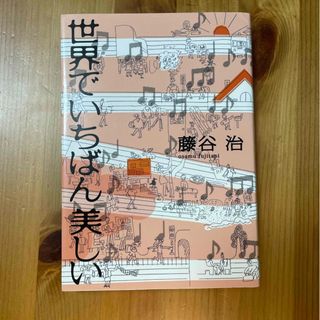 世界でいちばん美しい(文学/小説)