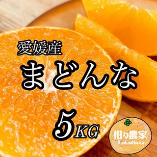 愛媛県産 愛果28号（紅マドンナ同品種）5キロ箱　小玉(フルーツ)