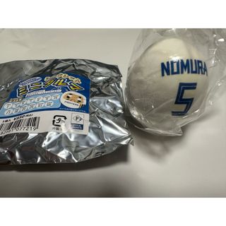 ホッカイドウニホンハムファイターズ(北海道日本ハムファイターズ)の　シークレットミニダルマ　野村佑希選手(記念品/関連グッズ)