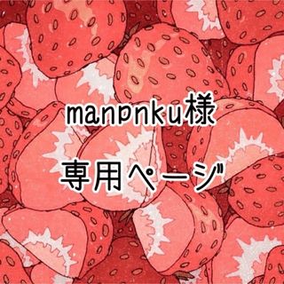 manpnku様専用ページ (基本料金1450＋300)(その他)