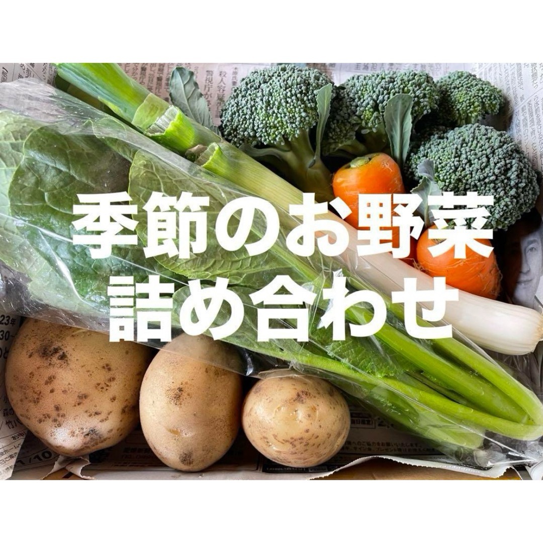 季節のお野菜詰め合わせ コンパクトボックス 愛媛県産 食品/飲料/酒の食品(野菜)の商品写真