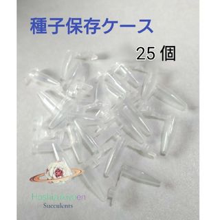 種子 保存容器 キャップ付き 25個 花粉 エケベリア リトープス(その他)