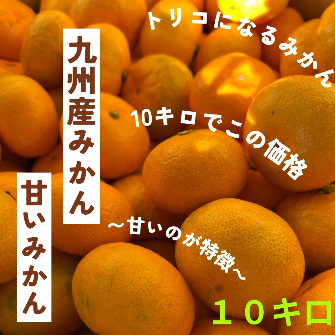 三連休セール【甘いのが特徴です。】九州産　みかん　『甘いです』　九州産　10kg 食品/飲料/酒の食品(フルーツ)の商品写真