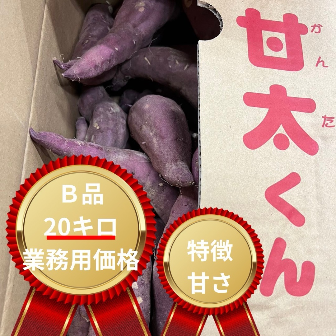 食品/飲料/酒【解禁宣言】20キロでこの価格！！大分特産　甘太くん　B品　かんたくん