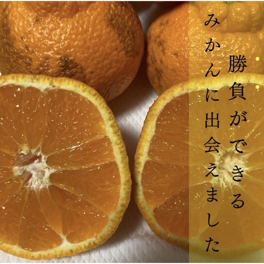 解禁宣言！デコポン発祥の地！熊本　本場の不知火町 『ぶちゃポン』１０Kg みかん 食品/飲料/酒の食品(フルーツ)の商品写真